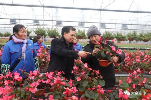 2019年全國文化科技衛(wèi)生 三下鄉(xiāng) 江西分會(huì)場集中示范活動(dòng)在大余舉行