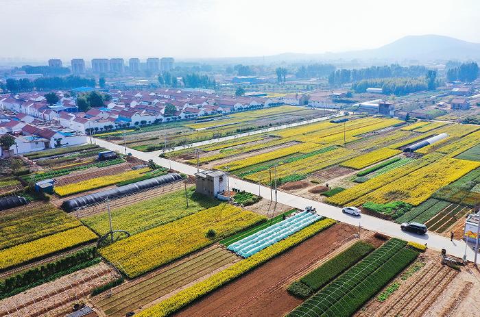 鄒平市好生街道圍繞打造省級(jí)鄉(xiāng)村振興齊魯樣板示范區(qū)持續(xù)發(fā)力