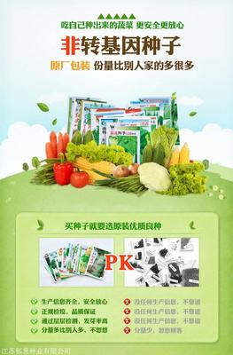 江蘇省淮安市大棚蔬菜種子哪里有賣的-種植基地