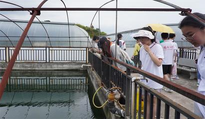 【青春實踐】感悟勞模崢嶸歲月,展望農場未來發展