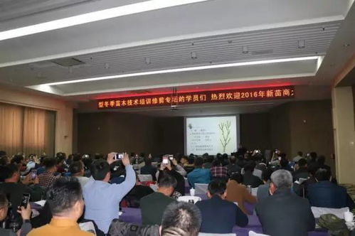 甘肅金昌 戈壁灘上的 花木工廠