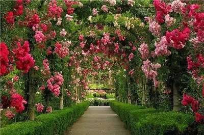全球最美花園,沒有之一