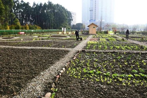 聚焦高品質城市空間示范區建設,這個會議這樣強調